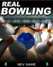Real Bowling (176x220)